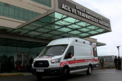 Cezaevinden çıkan cani hemen elini kana buladı! Diyarbakır'da korkunç kadın cinayeti