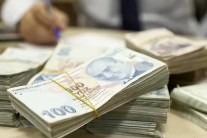 Bireysel Emeklilik Sistemi'nde devlet katkısı yüzde 20’ye düşürüldü