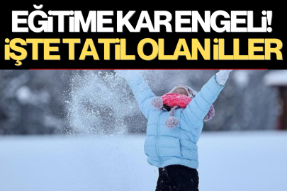 Bazı illerde eğitime ara verildi