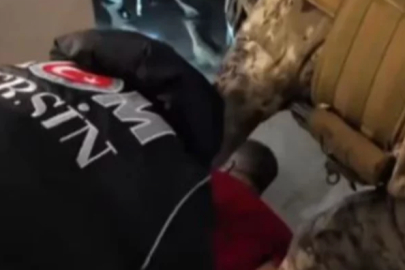 Barış Turgut Suç Örgütüne operasyon! Elebaşıyla birlikte 38 kişi yakalandı