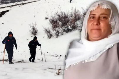 Diyarbakır'da kaybolan Nimet Kılıç'tan acı haber