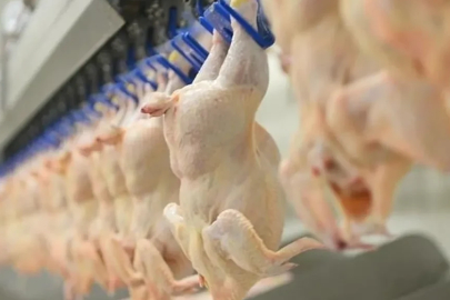 Ramazan öncesi zamma bakanlıktan hamle! Tavuk eti ihracatı durdurulacak