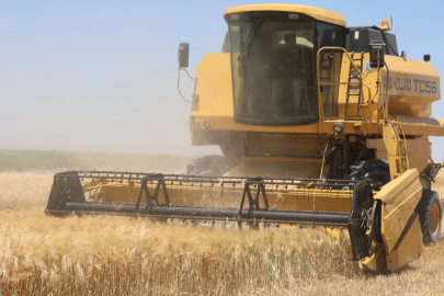 Tarım işçisi asgari ücretliyi katladı! Bu ilde günlük ücret 3 bin lirayı geçti