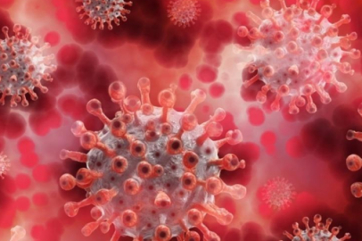 M çiçeği salgını yayılıyor: 8 kişi hayatını kaybetti!