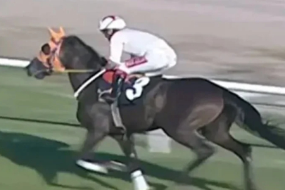 Mersin'de kavurma yapılan at, İngiliz gazetelerine manşet oldu