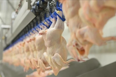 Bayram öncesi tavuk fiyatları yükseldi: 48 saatte yüzde 25 zam