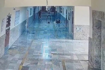 Şanlıurfa'da korku dolu anlar!