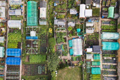 Hobi bahçeleri: Erdoğan talimat verecek! Onlara yaptırım yok...