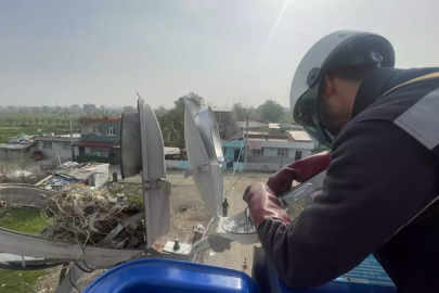 Kuşların yuva yaptığı sokak lambasındaki enerji iptal edilip yeni armatür takıldı