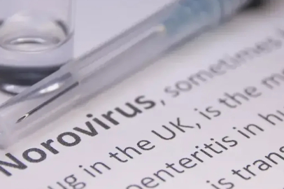 Fransa'da norovirüs alarmı! 1700'den fazla kişi karantinaya alındı