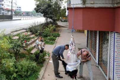 Sokakta kurban kesip, atıklarını gömenlere ağır cezalar kesilecek
