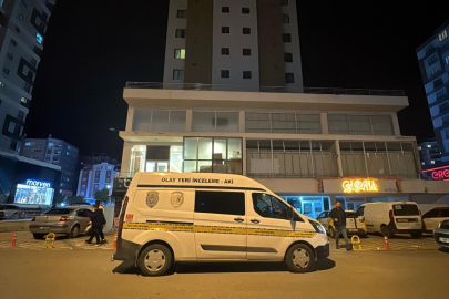 Tartıştığı kayınpederini bıçaklayarak öldüren damat tutuklandı
