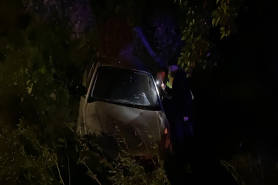 Bursa'da otomobil zeytinliğe uçtu: 2'si çocuk 4 yaralı