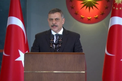 Mustafa Çiftçi: Başıboş sokak köpeği sorunu çözüme kavuşuyor
