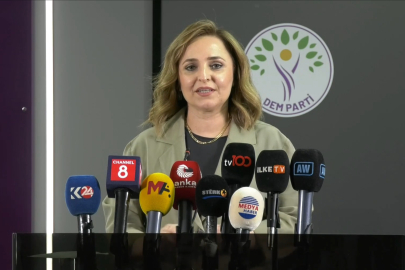 DEM Parti'li Doğan'dan 'Terörsüz Türkiye' süreci açıklaması