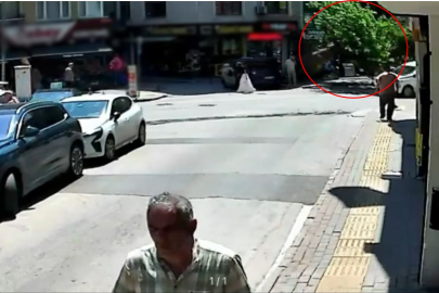 Devrilen tarihi çınar araca zarar verdi; yol trafiğe kapandı