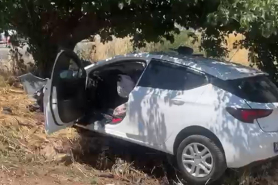 İzmir'de sollama yaparken ağaca çarptı: 4 ağır yaralı