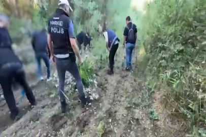 Hevsel Bahçeleri’nde 12 bin 174 kök kenevir ele geçirildi