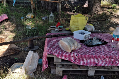 Ankara'da Piknikte tartıştığı eşini bıçaklayarak öldürdü