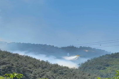 Manisa Soma'da orman yangını; ekiplerin havadan müdahalesi sürüyor