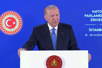 Erdoğan: "Türkiye'nin desteği göz ardı ediliyor"