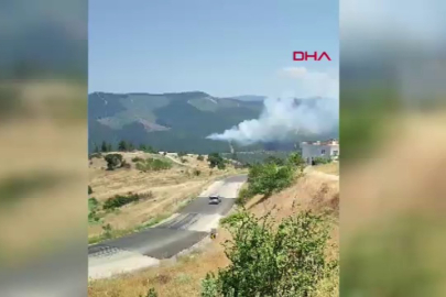Bursa'da orman yangını