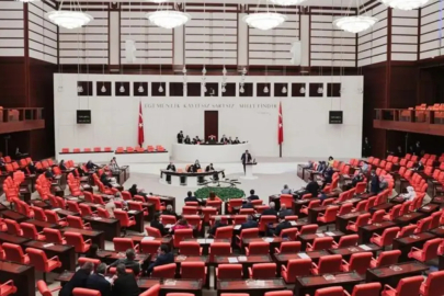 Bahçeli gündeme taşıdı, MHP'den ses çıkmadı