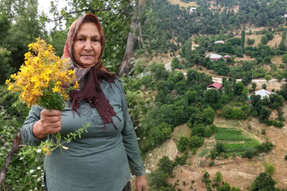 1200 rakımlı köyde doğal şifa: 40 gün güneşte bekletiyorlar