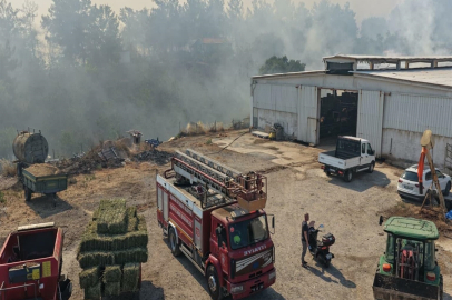 Balıkesir'de Kepsut'un ardından Altıeylül ve Karesi'de de yangın