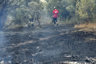 Bursa Mudanya'da rüzgarın etkisiyle büyüyen yangın kontrol altına alındı