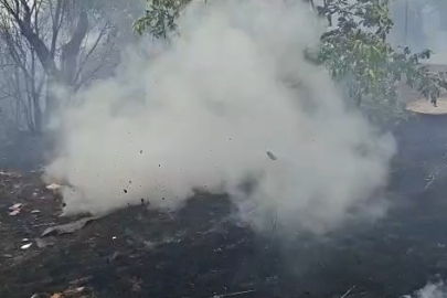 Bursa'nın Mudanya İlçesinde Yeşil Alanlarda Yangın Alarmı