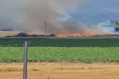Kayseri’de anız yangını; 7 dönümlük alan zarar gördü