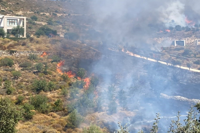 Muğla Bodrum’da makilik yangını