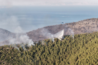 Muğla'nın Milas ilçesinde orman yangını 2'nci gününde
