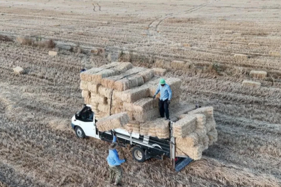 Günlük kazanç 7 bin lirayı buluyor! Bu işi yapmak için Yozgat yollarına düşüyorlar
