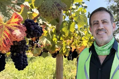 Haluk Levent bağış paralarıyla şarap fabrikasına ortak oldu! Asistanının ifadesi gizli anlaşmayı ortaya çıkardı