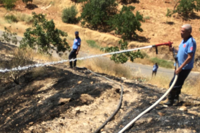 Gaziantep'te fıstık tarlasındaki yangına müdahale ederken hayatını kaybetti