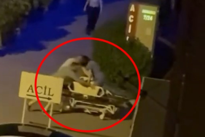 Otomobilin çarptığı yayanın duran kalbi, kalp masajıyla yeniden çalıştırıldı