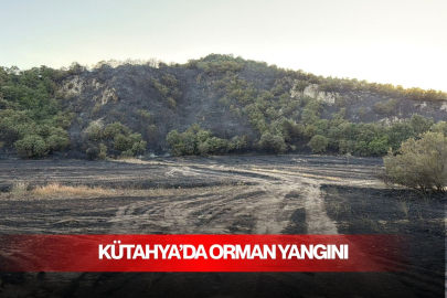 Kütahya'da orman yangını