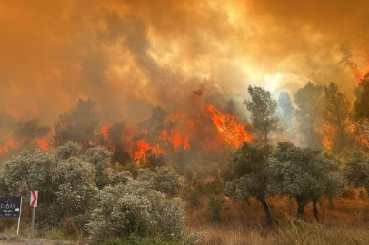 5 ildeki orman yangınlarında 92 bağımsız bölüm hasar gördü