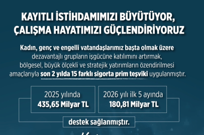 2025 yılında kadınlar, gençler ve engelli vatandaşların işgücüne katılımında 435,6 milyar lira destek sağlandı