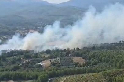 Muğla Seydikemer'de orman yangını