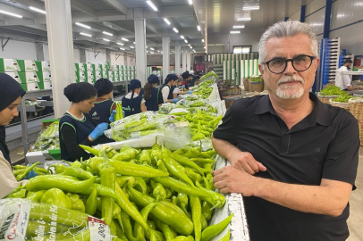 Avrupa sofralarının tercihi Bursa ürünleri