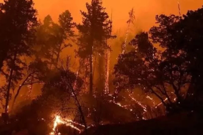 64 orman yangınıyla ilgili 11 şüpheli tutuklandı