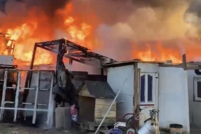 Bursa'da çiftlik alev alev yandı: Olay yeri dron ile görüntülendi
