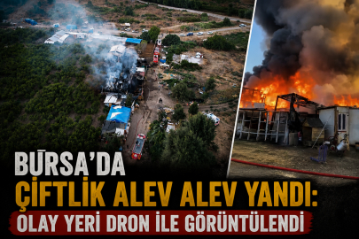 Bursa'da çiftlik alev alev yandı: Olay yeri dron ile görüntülendi