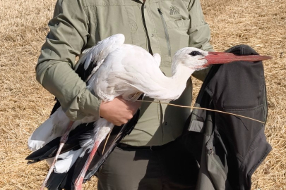 Elektrik akımına kapılan eşinin başından 5 gün ayrılmadı