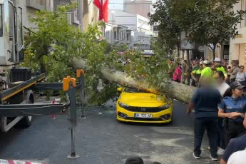 İstanbul Nişantaşı’nda çınar ağacı iki aracın üzerine devrildi
