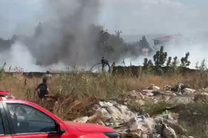 Aydın'da zeytinlik alanda çıkan yangın korkuttu