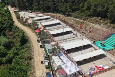 Bursa Hayvan Hakları Platformu'ndan Gemlik Belediyesi'ne tepki: "Kapıları açın"